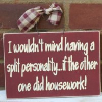 i_wouldnt_mind_having_a_split_personality